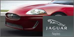Jaguar Naples